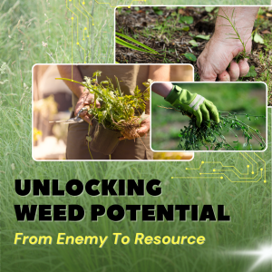 UNLOCKING WEED POTENTIAL: FROM ENEMY TO RESOURCE