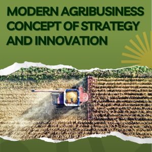 MODERN AGRIBUSINESS CONCEPT OF STRATEGY AND INNOVATION